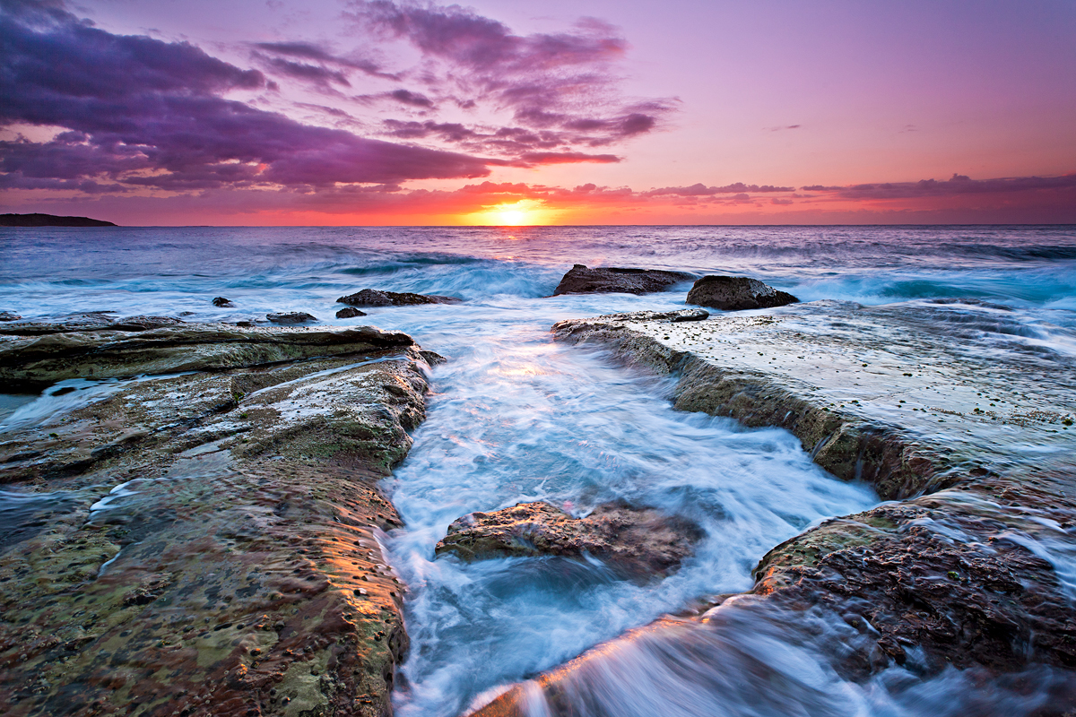 Dee Why Beach NSW Australia